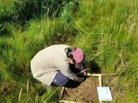 El uso del abono natural 