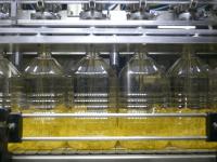 El girasol consolida su e