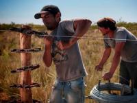 ¿Cuántos kilos de novillo