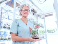 ¿Qué son los Biorreactore