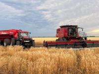 “Buenas expectativas”: La