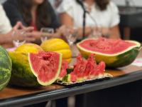 Misiones: El Municipio de