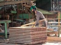 Misiones: Crisis en las P