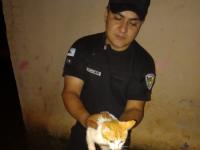 San José: Rescataron a un