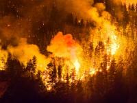 El Gobierno Nacional decl