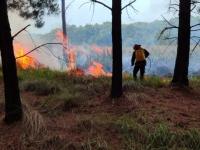 Controlaron el incendio d