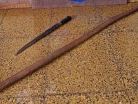 Caraguatay: Dos individuo