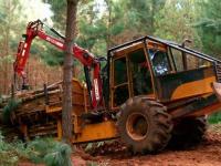 Industria de la madera: U