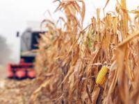 Elevan proyecciones de pr