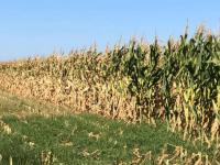 Casi 3.500 millones de dó