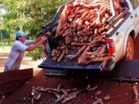 “Reducir el IVA a la fécu