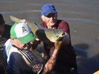 Apóstoles: Cosecha de pec