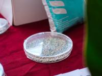 Bioinsumos desarrollados 