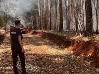 Una rápida intervención d