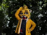 Misiones: La provincia pr