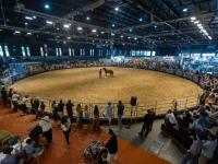 Tradición, emoción y pasi