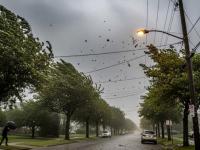 Cómo será el otoño 2026 e