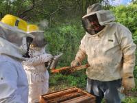 Frente a la crisis del em