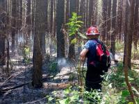 Bomberos controlaron un i