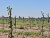 La demanda global crece m