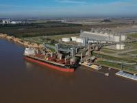 El trigo argentino es un 