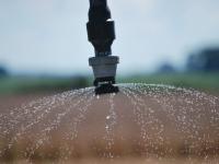 Incentivos fiscales y est