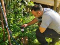 Misiones: Acciones de pre