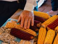 Especialistas y agriculto