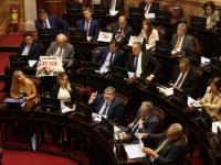 El Senado rechazó los vet