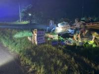 Colonia Mado: Despiste y 