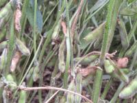 “Grave situación producti