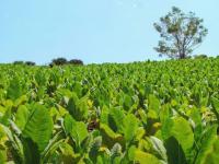 López Sartori: “Vamos a s