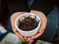 La provincia de Misiones 