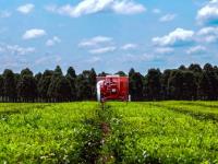 Acciones sustentables: Un