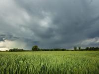 Volvió el invierno a gran
