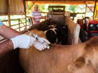 Inicia nueva Campaña de V