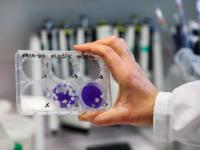 La Administración Naciona