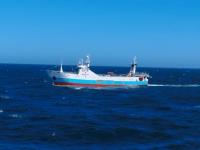 Prefectura Naval detectó 