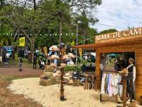 Misiones: Animales de las