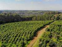 Misiones: La localidad de