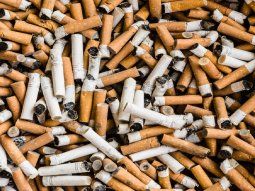 Colillas de cigarrillos. 