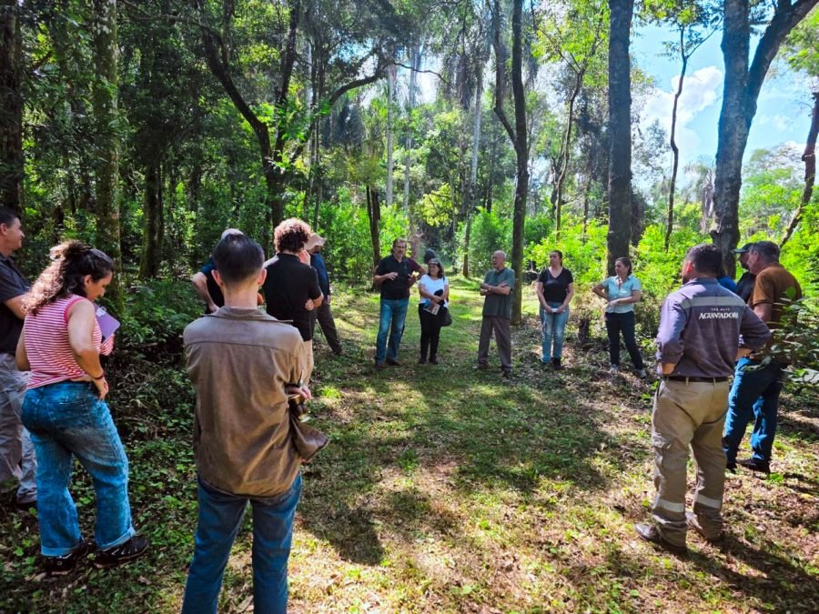 La producción orgánica en la provincia de Misiones creció 8,5% y las exportaciones aumentaron 28% en el último año