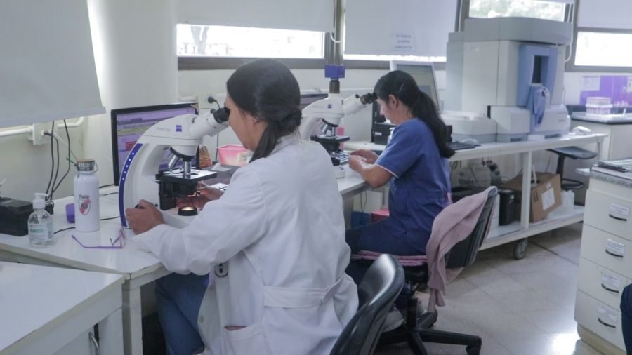 Con 150 mil pacientes y casi 700 mil determinaciones, el Laboratorio del Hospital Madariaga se consolida como impulsor del diagnóstico público en Misiones