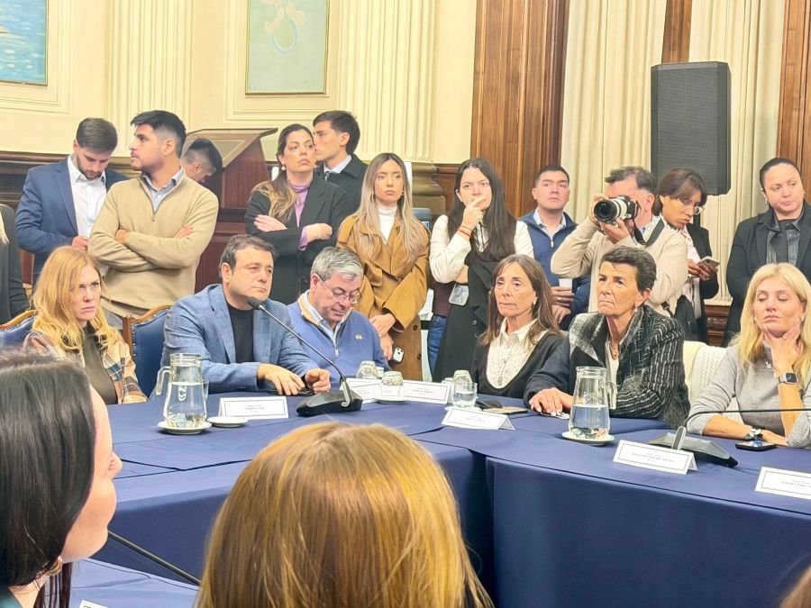 El Diputado Nacional por Misiones Herrera Ahuad participó de la constitución del Grupo Parlamentario de Amistad con Venezuela