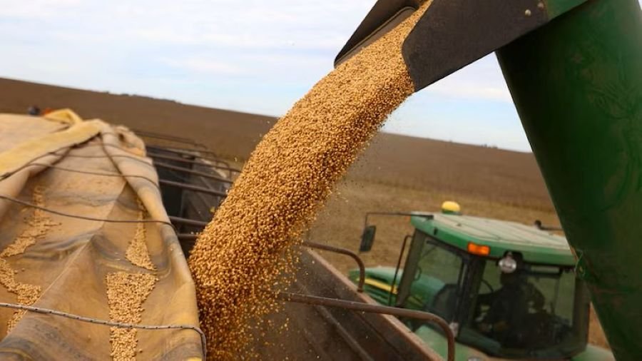 La economía argentina creció 0,7% en el primer trimestre de 2026: Cuáles fueron los sectores que impulsaron la actividad