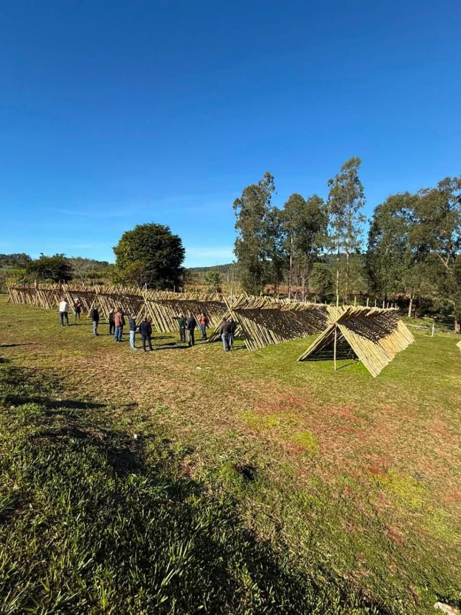 La nueva fábrica de bambú en Comandante Andresito demuestra que el desarrollo en Misiones es hoy, también esta instalada una planta en el Parque Industrial Apóstoles