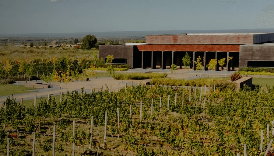 Las polémicas de ‘Chiqui’ Tapia también llegan al agro: Quién está detrás de la bodega vinculada con la AFA