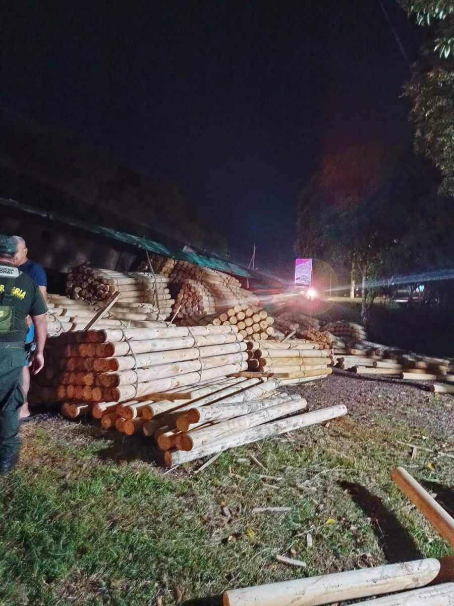 Camión cargado con madera volcó en la banquina sobre la Ruta Provincial N° 13, no se registraron personas lesionadas, únicamente daños parciales en el rodado