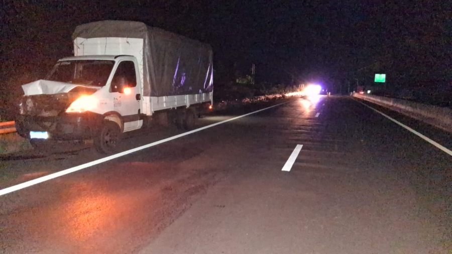 Santa Ana: Un camión impactó contra un animal vacuno que se desplazaba sobre la Ruta Nacional N° 12