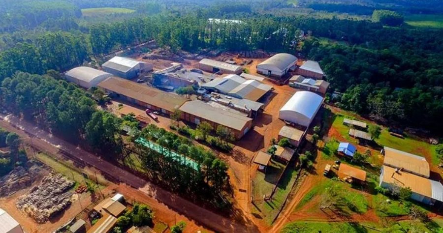 Misiones: Presidente de la Cooperativa Yerbatera Andresito negó una crisis y apuntó contra el uso político de un informe interno